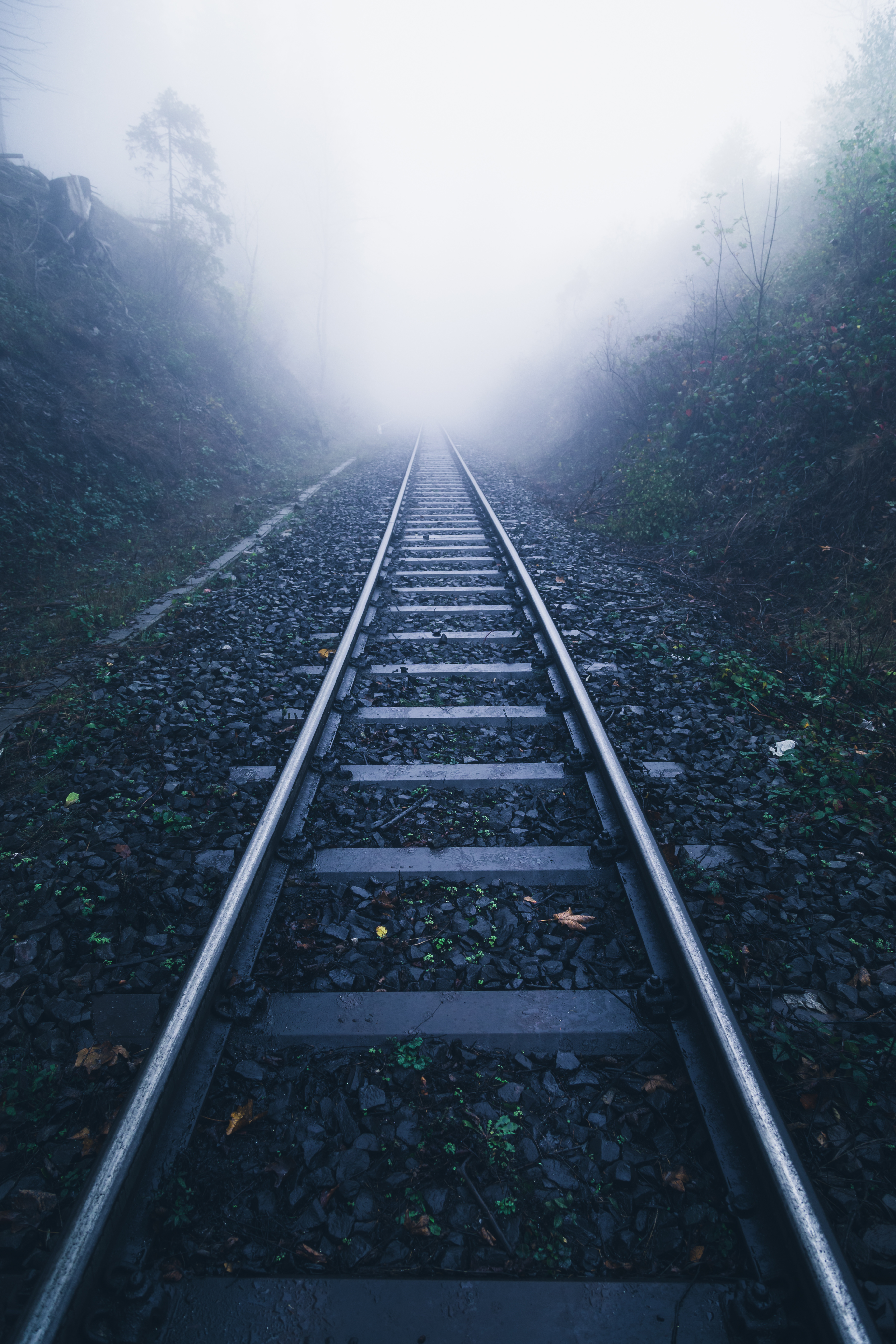 Bahn Schienen führen in das Licht, Nebelstimmung am Abend